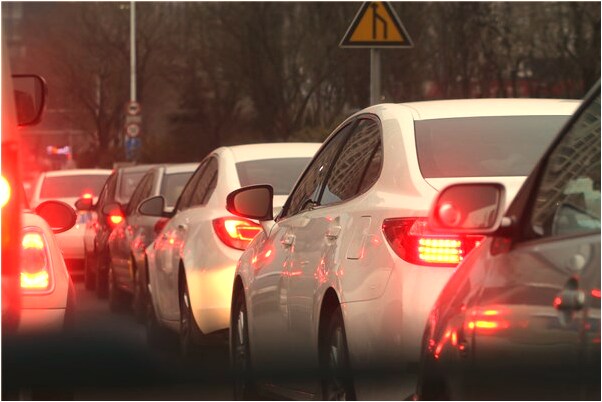 夢到偷玉米核桃是啥預兆_周公解夢官網