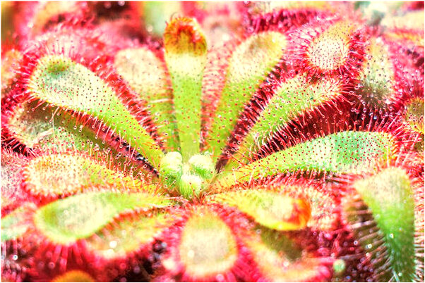 夢到了別人的孩子對著你哭好不好_周公解夢官網