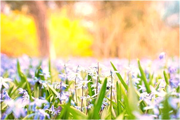 夢見男朋友在做飯會是什麼預兆_周公解夢官網
