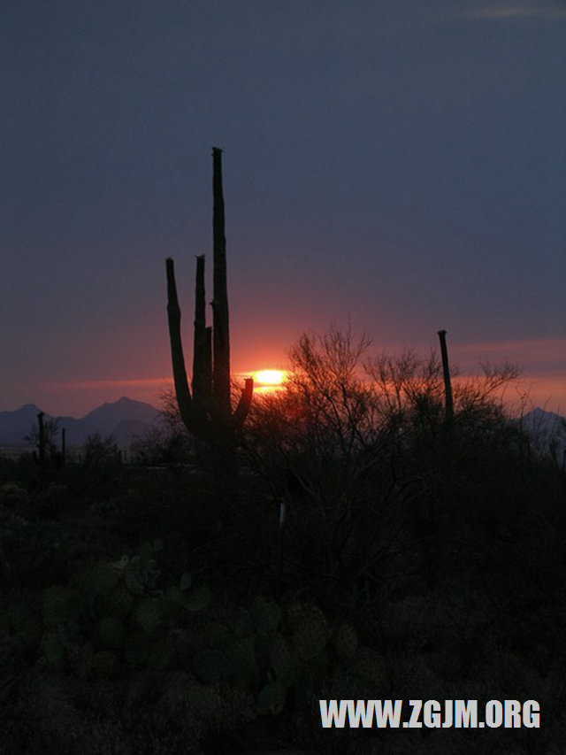 夢見光個身子洗澡_周公解夢夢到光個身子洗澡是什麼意思_做夢夢見光個身子洗澡好不好_周公解夢官網