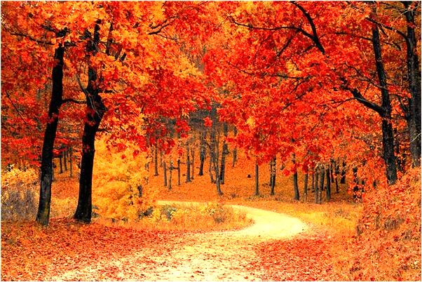 夢到男同桌抱著我的頭會怎么樣_周公解夢官網