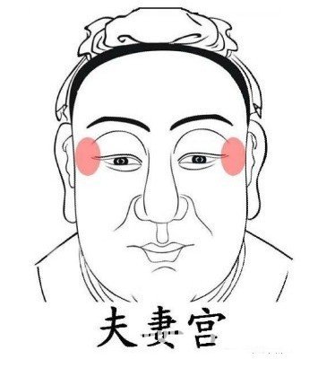 面相的夫妻宮在那裡