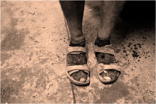 夢到了自己的火腿腸分給別人吃了有什麼預兆_周公解夢官網