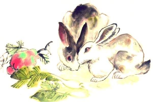 夢到淘寶網是啥意思_周公解夢官網