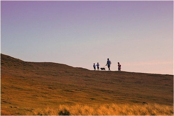 夢到了我和同僚一起為國效力好不好_周公解夢官網