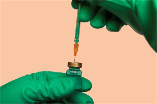 夢到挖地挖到西瓜是好是壞_周公解夢官網