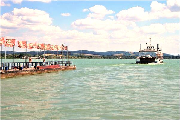 夢到屋頂上掉好多壁虎下來什麼預兆_周公解夢官網