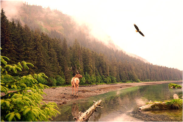 夢到和以前的同事吃飯上床有什麼預兆_周公解夢官網