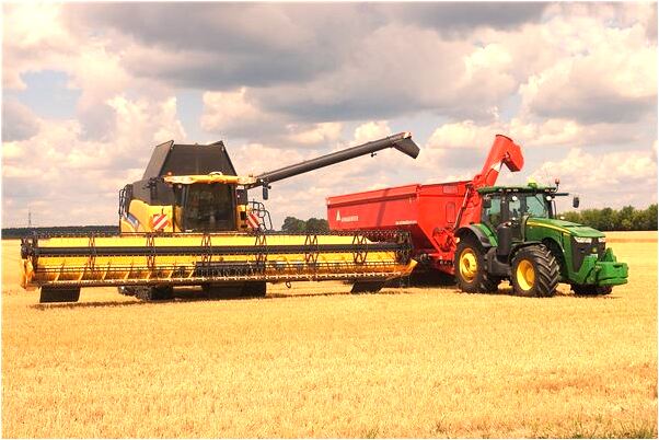 夢到和老媽打架會有什麼預兆_周公解夢官網