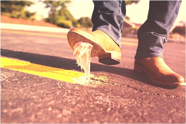 夢到蛇吃蚯蚓會有什麼預兆_周公解夢官網