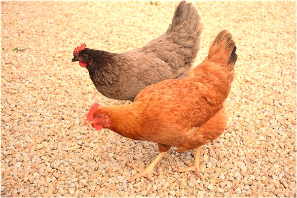 夢到被關在一個漆黑的箱子是什麼兆頭_周公解夢官網