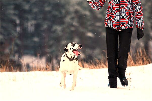 夢到了自己結婚沒有婚紗是啥預兆_周公解夢官網