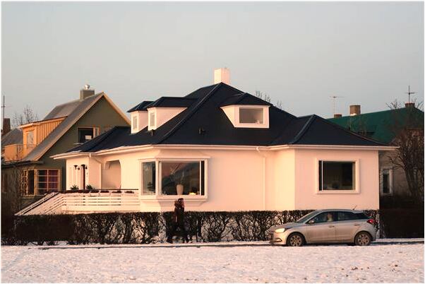 夢見烏龜鱷魚會講話的貓預示著什麼_周公解夢官網