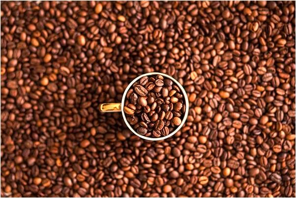 夢到被黃牛追趕意味什麼_周公解夢官網