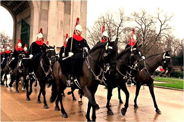 夢到包包被人搶了是怎么回事_周公解夢官網