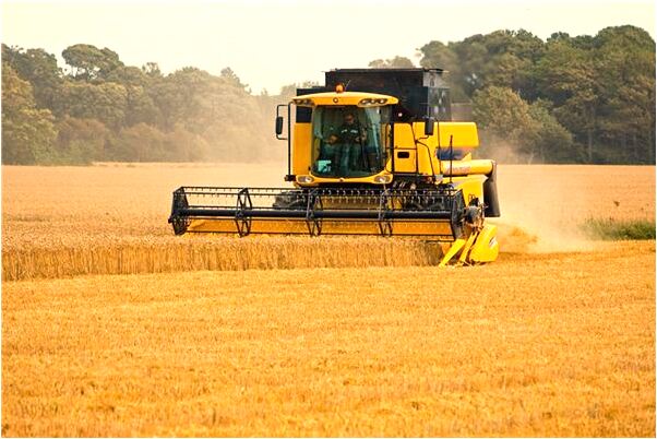 夢到了老鼠在我身上預兆了什麼嗎_周公解夢官網