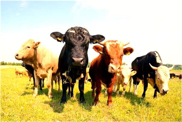 夢到了變幻的天空有什麼寓意嗎？_周公解夢官網