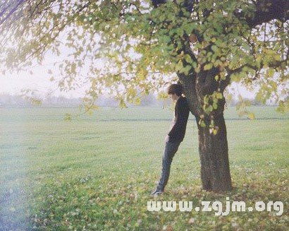 揭秘：十二星座年貨清單_十二星座