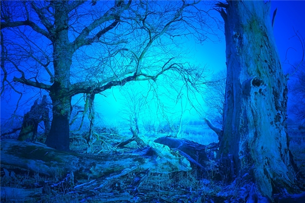 夢到了撿三百枯是什麼啟示_周公解夢