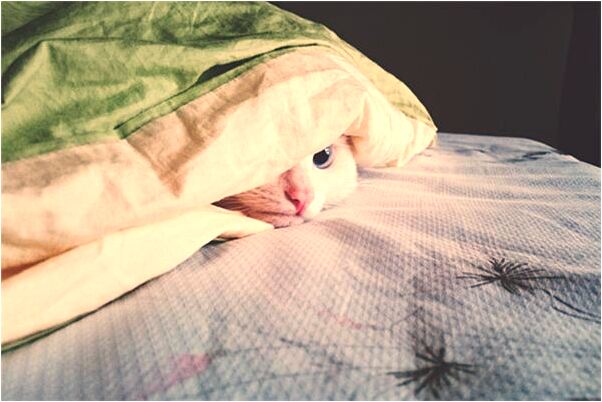 夢到了丟了條舊的牛仔褲有什麼意思嗎_周公解夢官網