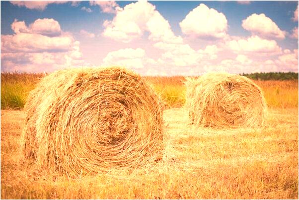 夢見殺綁匪會是什麼預兆_周公解夢官網