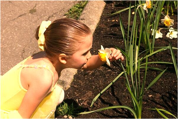 夢見不可能的人喜歡自己是什麼徵兆_周公解夢官網