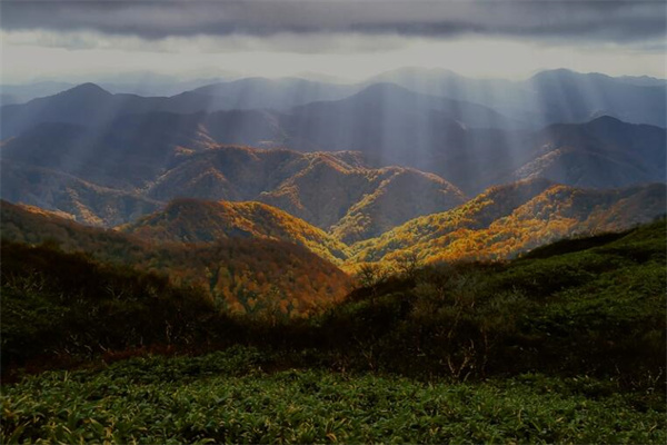 夢到了山丘代表什麼_周公解夢