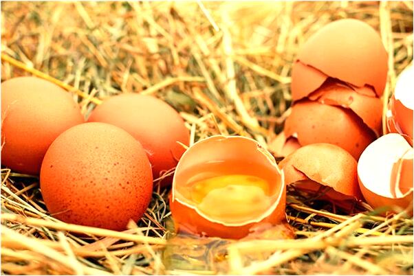 夢見自己餵嬰兒是什麼啟示_周公解夢官網