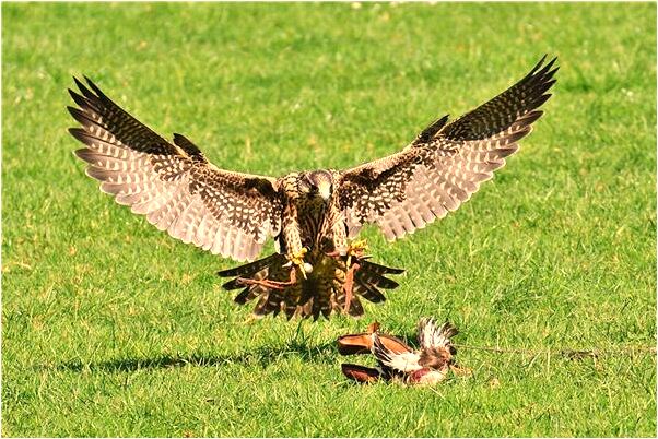 夢到了女人替我口交會是什麼預兆_周公解夢官網