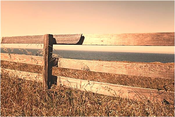 夢到了和男人牽手逛街啥意思_周公解夢官網