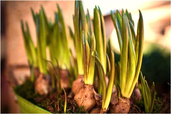 夢到了掃毒票房是什麼預兆？_周公解夢官網