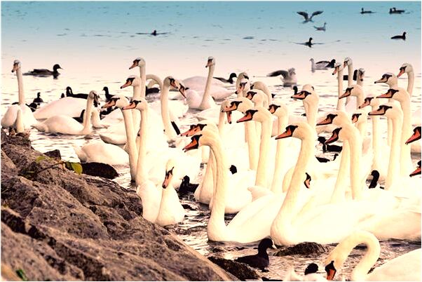 夢到了自己發霉代表著什麼？_周公解夢官網