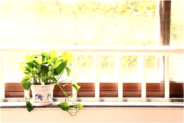 夢見妓女的孩子有什麼預兆_周公解夢官網