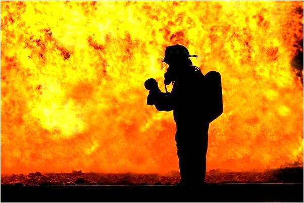 夢到貓咬自己和朋友是啥意思_周公解夢官網