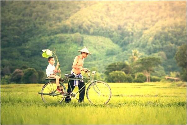 夢見考試英語是咋回事_周公解夢官網