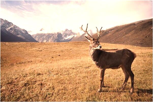 夢見四人抬著空棺材有什麼預示嗎_周公解夢官網