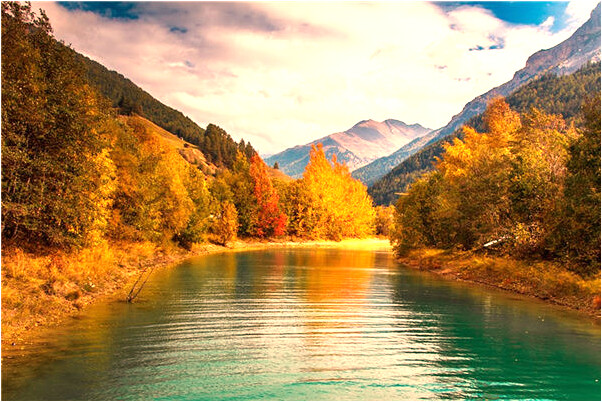 夢見雞場和吃雞的場所里找雞什麼預兆_周公解夢官網