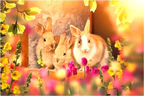 夢到自己身陷泥潭不能自拔預示了什麼_周公解夢官網