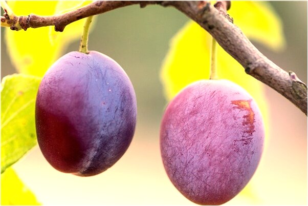 夢見別人好生活預兆了什麼嗎_周公解夢官網