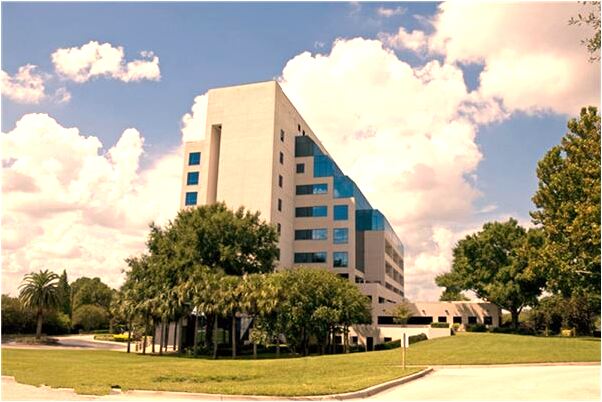 夢到一條黑色的大蟒蛇追我預示什麼_周公解夢官網