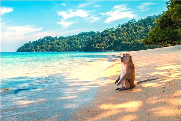 夢到了自己讓表姐懷孕會是什麼預兆_周公解夢官網