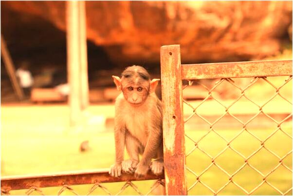 夢到了我家門口坐了一個白衣女人是怎么回事_周公解夢官網