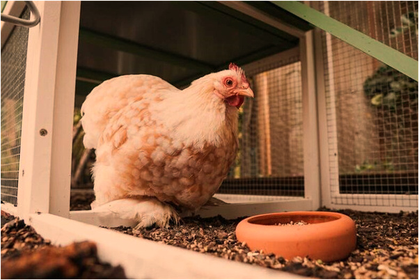 夢到了和喜歡的人一起等車怎么樣_周公解夢官網