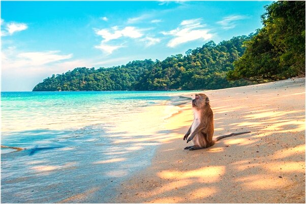 夢見別人抬表哥棺材是凶兆還是吉兆_周公解夢官網