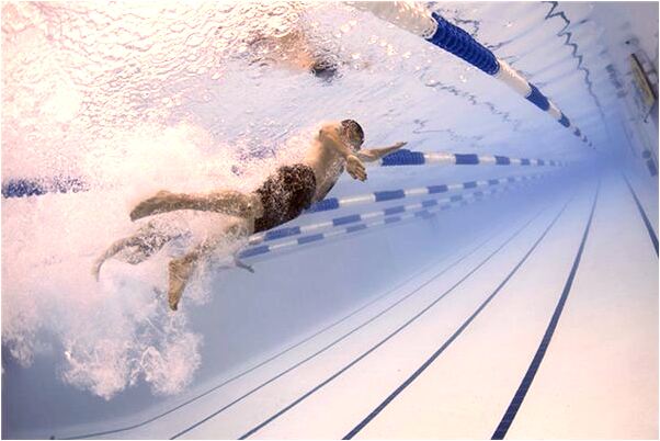 夢到了我家吉娃娃撒花是啥意思_周公解夢官網