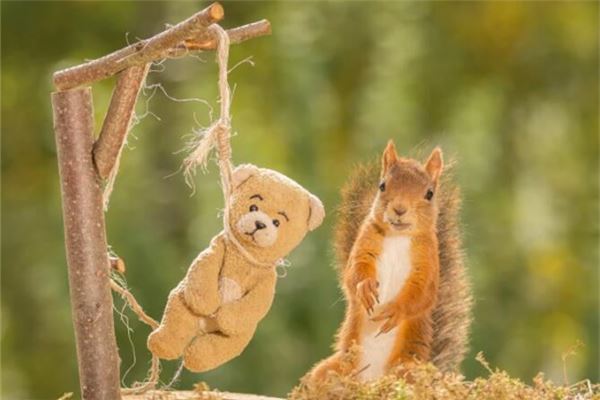 夢見別人上吊_周公解夢