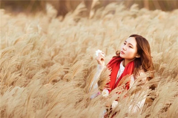 夢見戴圍巾的預兆_周公解夢