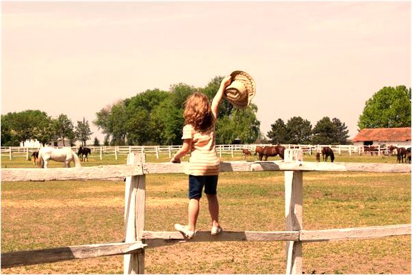 夢到得了三大串葡萄藍色是什麼預兆_周公解夢官網