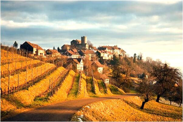 夢到別人撿到一隻藍色鞋子怎么樣_周公解夢官網