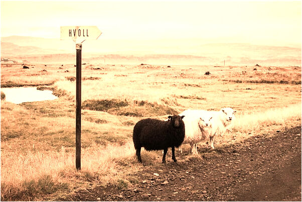 夢到四十多歲含我叔叔的女人有什麼意思_周公解夢官網